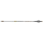 Gold Tip Airstrike Arrows 250 Raptor Vanes 6 Pk. New. Price: $154.89.