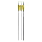 Tenpoint Evo-x Centerpunch Lighted Hp Alpha Blaze Arrows 20" 3 Pack *new*. Price: $123.99.