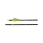 Victory Archery Elite Fletched Arrows, 6-PACK (RIPSSE-200FX-6) New. Price: $139.99.