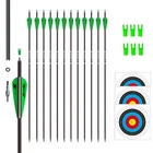 31INCH Carbon Archery Targeting Practice Hunting Arrows For Compound & ... New. Price: $40.73.