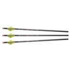 Excalibur Quill 16.5" Carbon Micro Crossbow Arrows 3PK 22QV16IL-3: Brand New. Price: $64.99.