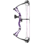 Diamond Atomic Bow Package Purple 12-24 In. 29 Lbs. Rh New. Price: $261.63.