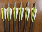 New 6 Victory Xbolt Decimator 20" Carbon Crossbow Arrows! W/ Flat Caps. Price: $34.99.