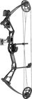 Bear Archery Pathfinder Youth Bow Set. Price: $197.74.