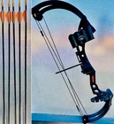 Bear Archery Brave Youth Compound Bow Package Rh Arrow Rest Sight New. Price: $59.00.