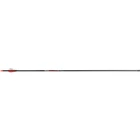 Victory Rip Sport Arrows 500 2 In. Vanes 6 Pk. New. Price: $69.70.