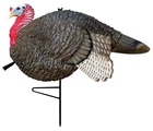 Primos Lil' Gobstopper New. Price: $61.99.