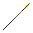 Black Eagle Outlaw Fletched Arrows 6PK .005" 400 Spine (157): New, Free Ship. Price: $63.17.
