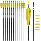 30INCH Hunting Carbon Archery Arrows With 5" Turkey Feathers Spine 300/400/50.... Price: $63.23.