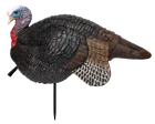 Primos 69074 Lil' Gobstopper Jake Turkey Species Multi Color New. Price: $35.66.