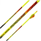 Black Eagle Renegade 250 .005 Fletched Arrows 6-PACK New. Price: $68.99.