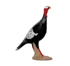Delta Mckenzie Alert Turkey Target New. Price: $144.86.