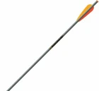 Easton - Crossbow Bolt XX75 2219 4" Vane 20" Half Moon Nock 6PK New. Price: $45.99.