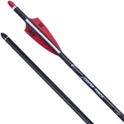 Tenpoint Center Punch Alpha Nock Hpx Straight Premium Carbon Arrow - HEA7706 New. Price: $123.28.