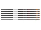 (new) Bloodsport Bloodhunter Arrow, 500 Spine, 6 Pack. Price: $87.11.