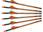 Ravin Crossbow Arrows With Orange Nocks 400GRAIN (.003") 6 Pack Model # R138 New. Price: $73.99.