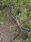 Bear Alaskan Xt Lh 55-70LB 25 -30 Draw Brand New Gas Ghost Bowstrings Used. Price: $370.00.