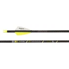Victory Archery Elite 31IN 6-PC Fletched Arrows (RIPSSE-400FX-6) New. Price: $139.99.