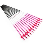 Linkboy Archery Carbon Arrows 2" Vanes Compound Bow Hunting Recurve Pra... New. Price: $111.19.