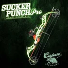 Cajun Sucker Punch Pro Glow Rtf Pacakge New. Price: $459.99.