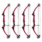 Genesis Archery Compound Bow Adjustable Sizing For Right Handed, Red (4 Pack) New. Price: $659.96.