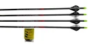 Easton Bloodline 6MM 330GR Carbon Arrows - 4 Pack New. Price: $39.99.