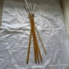 Complete Easton Arrows Traditional Carbon Legacy W/ Feathers 5MM 500 12PK Doz. New. Price: $219.95.