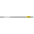 Easton X10 Parallel Pro Arrows 300 Aae Hybrid 26 Vanes Pk. New. Price: $222.99.