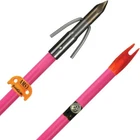 New 2025 Ams Bowfishing Chaos Fx Point & Fiberglass Arrow A203-PINK. Price: $24.99.