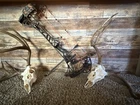 Lift 29.5 Lh 80LBS Mods, With All Goodies. Used. Price: $1425.00.
