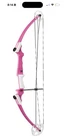 Genesis Original Archery Compound Bow Arrow Set, Draw Hand-right, Pink New. Price: $169.99.