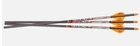 Ravin .001" Premium Match-grade Lighted Arrows 400 Grain Carbon Units R134 New. Price: $106.50.