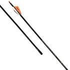 Victory Archery Vap Ss Elite 300 Spine Fletched Arrow 6 Pack 04338 New. Price: $139.99.