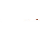 Easton Arrow 6.5MM Hunter Clsc 300 W/2" Bully Vanes 6-PACK New. Price: $62.99.