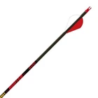 Gold Tip Hunter Arrows Fletched 2" Rapt-x Vanes New. Price: $99.99.