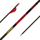 Gold Tip Hunter 340 Spine W/ 2'' Raptor Vanes (6PK). Price: $59.99.