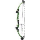 Genesis Mini Bow Green Rh New. Price: $175.89.