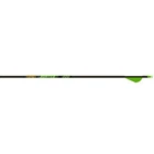 Gold Tip Hunter Xt Arrows 500 Raptor Vanes 6 Pk. New. Price: $79.99.