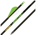 Gold Tip 6-PACK Hunter 2" Vanes Carbon Arrows #HXT300A26 New. Price: $73.99.