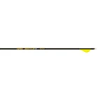 Gold Tip Hunter Pro Arrows 400 Raptor Vanes 6 Pk. New. Price: $95.64.