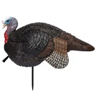 Primos Hunting Lil Gobstopper Jake Turkey Decoy Light-weight 69... New. Price: $79.42.