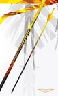 Black Eagle Renegade Fletched Arrows 6-PACK-250 SPINE-.005 +/- New. Price: $67.99.