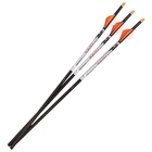 Ravin Premium Lighted Arrows 500GR Hd .001 3PK (R144) New. Price: $139.99.