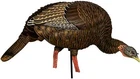 Avian-x Hdr Feeding Hen Turkey Decoy New. Price: $149.99.